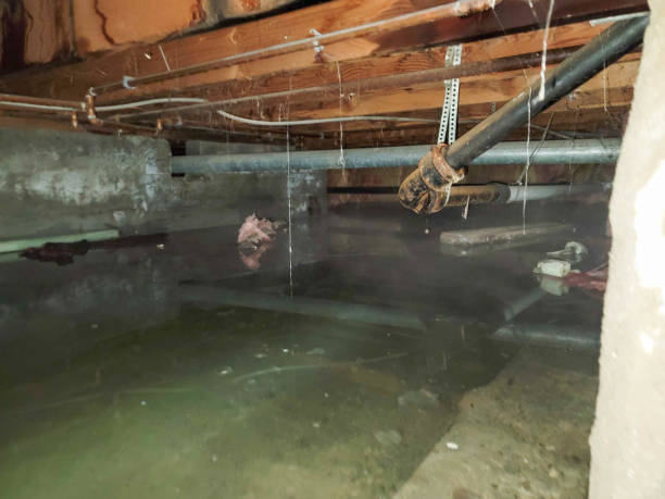 Best Emergency water damage restoration  in Carrollton, MO