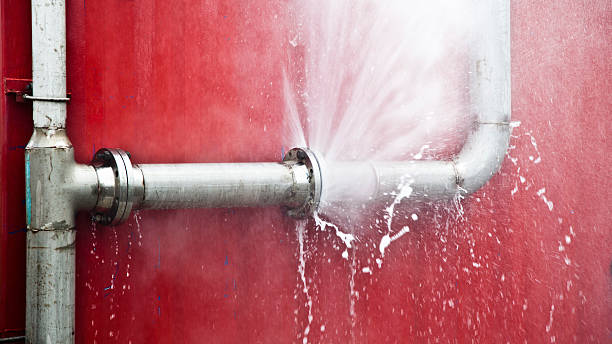 Best Flood restoration services  in Carrollton, MO